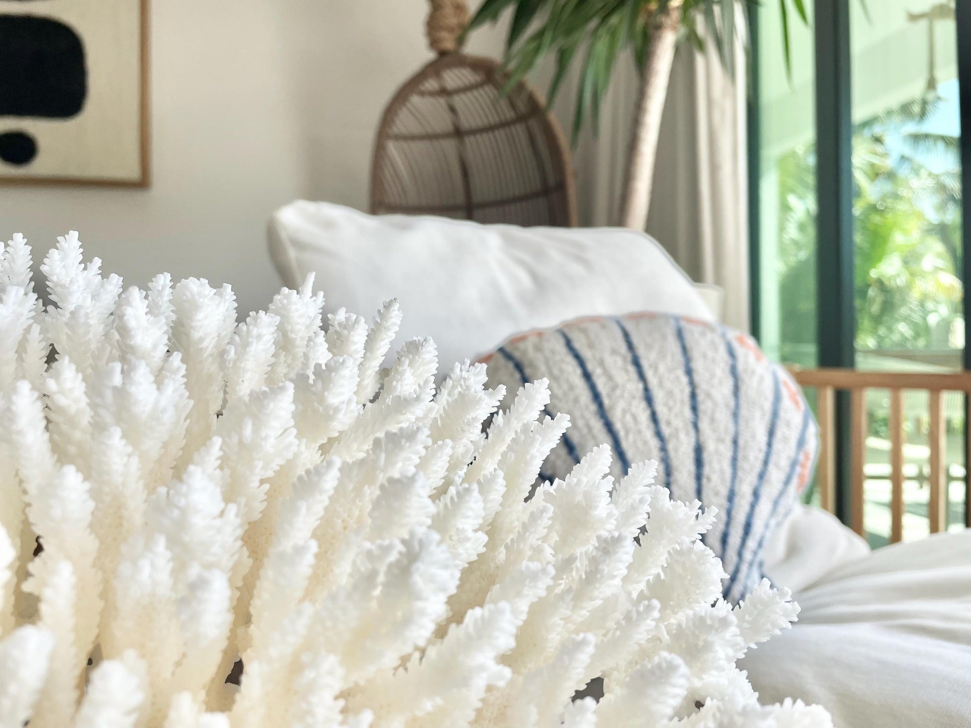 Genuine 100% Natural TABLE CORAL 11.5" x 8.5" x 7.5" White Fossil Specimen Coastal Beach House Décor