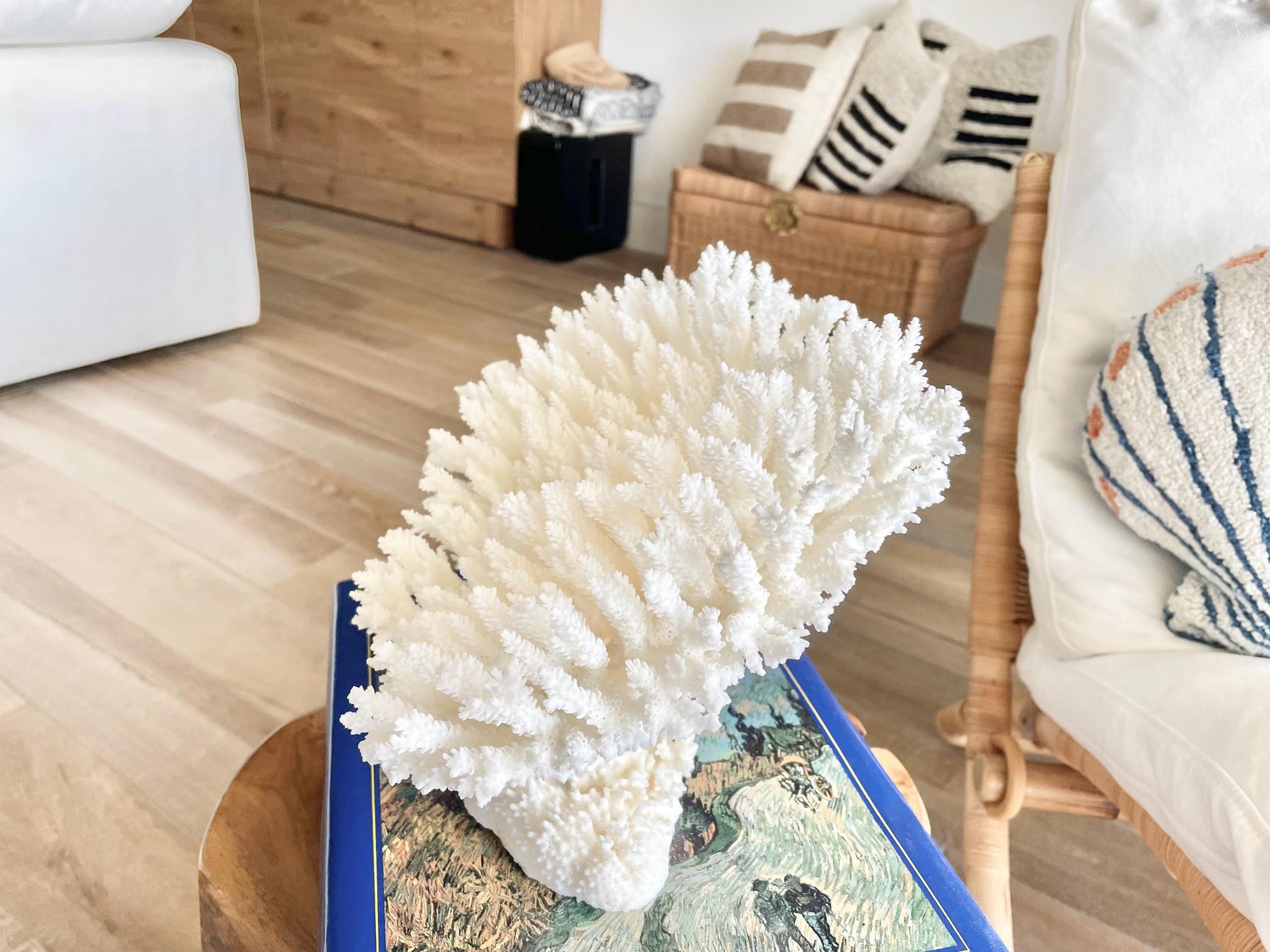 Genuine 100% Natural TABLE CORAL 11.5" x 8.5" x 7.5" White Fossil Specimen Coastal Beach House Décor