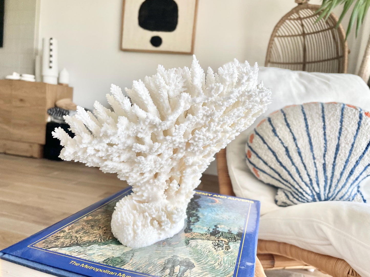 Genuine 100% Natural TABLE CORAL 11.5" x 8.5" x 7.5" White Fossil Specimen Coastal Beach House Décor