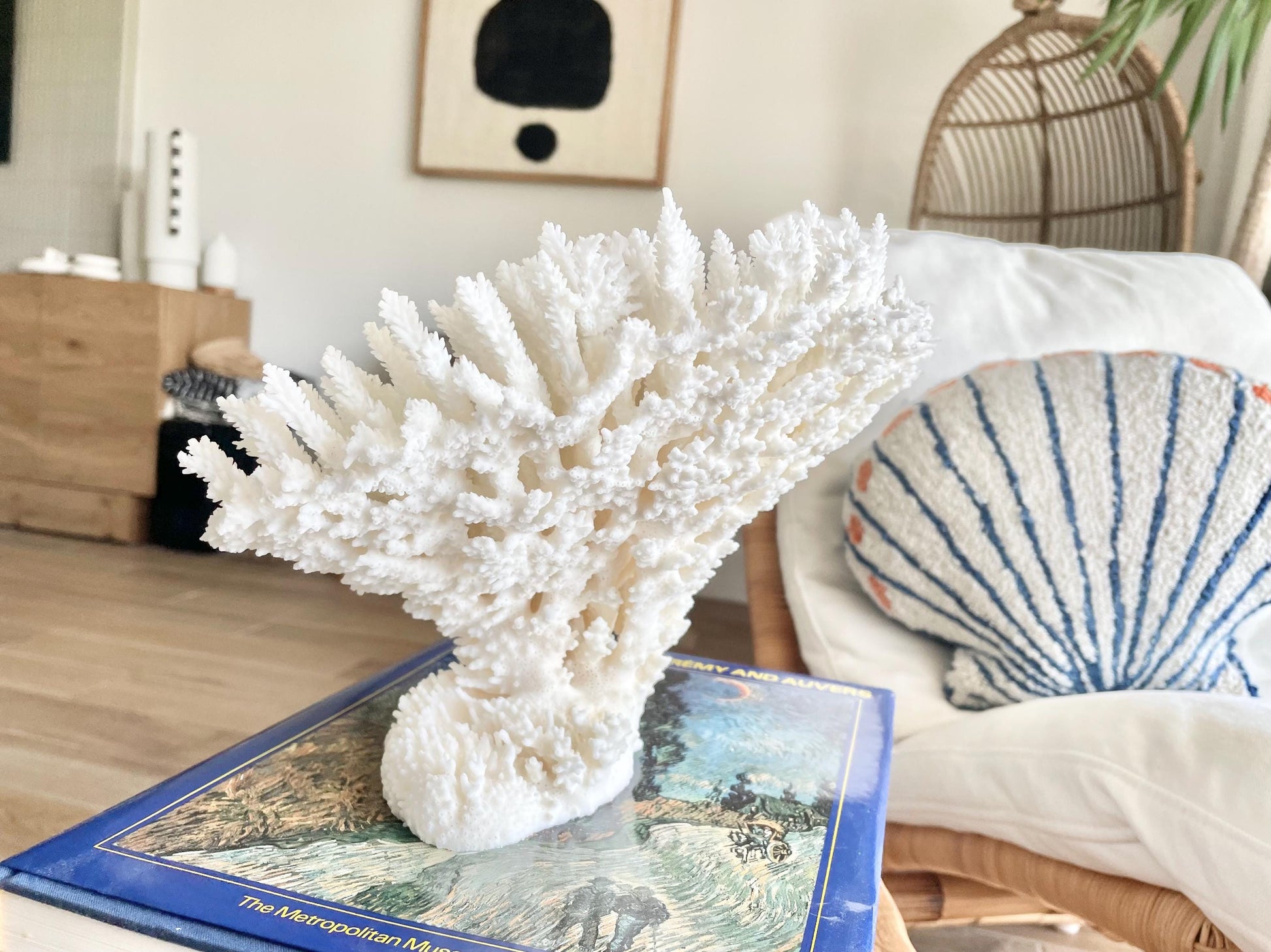Genuine 100% Natural TABLE CORAL 11.5" x 8.5" x 7.5" White Fossil Specimen Coastal Beach House Décor