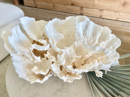 FLUFFY POCA CORAL 100% Natural 13" x 9" x 6.5" White Fossil Specimen Coastal Beach House Décor