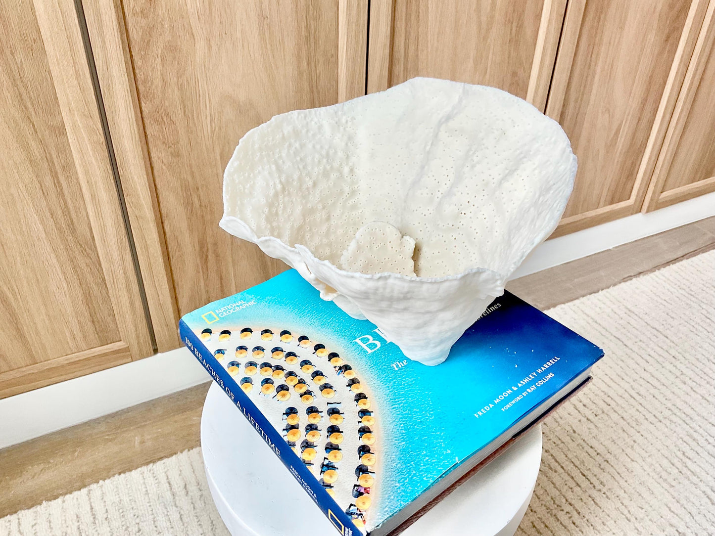 Genuine 9.5" Wide Sea Spiral CUP CORAL 100% Natural Ocean Reef Centerpiece Coastal Beach Ocean Décor Nautical Display Fossil White