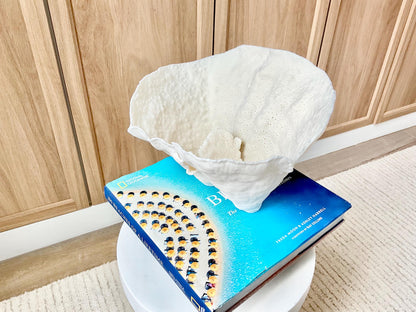 Genuine 9.5" Wide Sea Spiral CUP CORAL 100% Natural Ocean Reef Centerpiece Coastal Beach Ocean Décor Nautical Display Fossil White