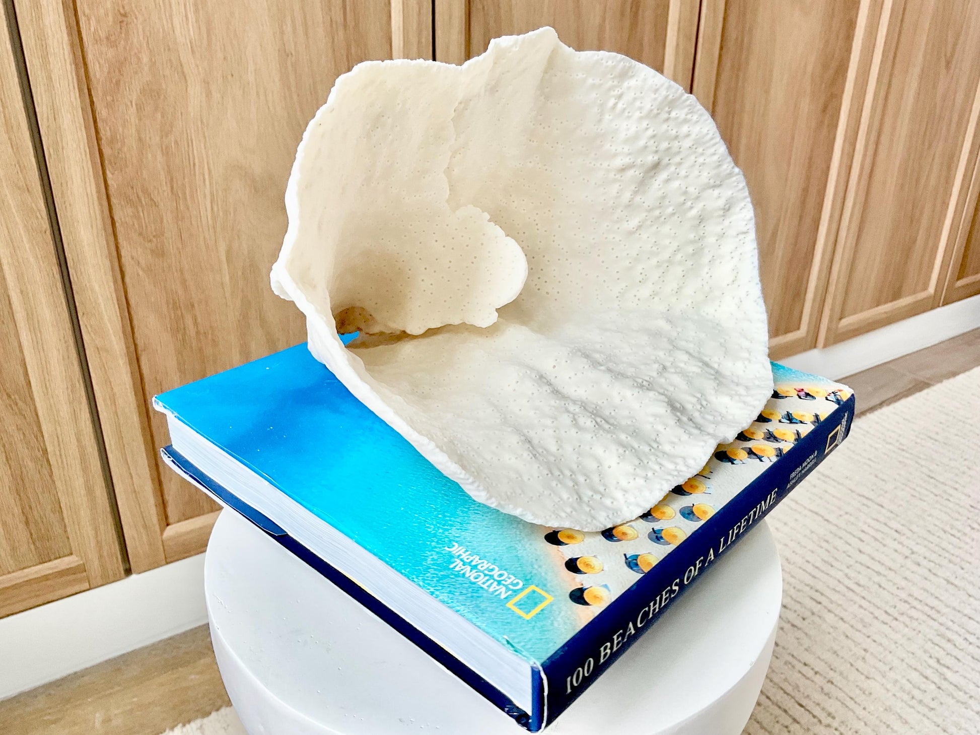 Genuine 9.5" Wide Sea Spiral CUP CORAL 100% Natural Ocean Reef Centerpiece Coastal Beach Ocean Décor Nautical Display Fossil White