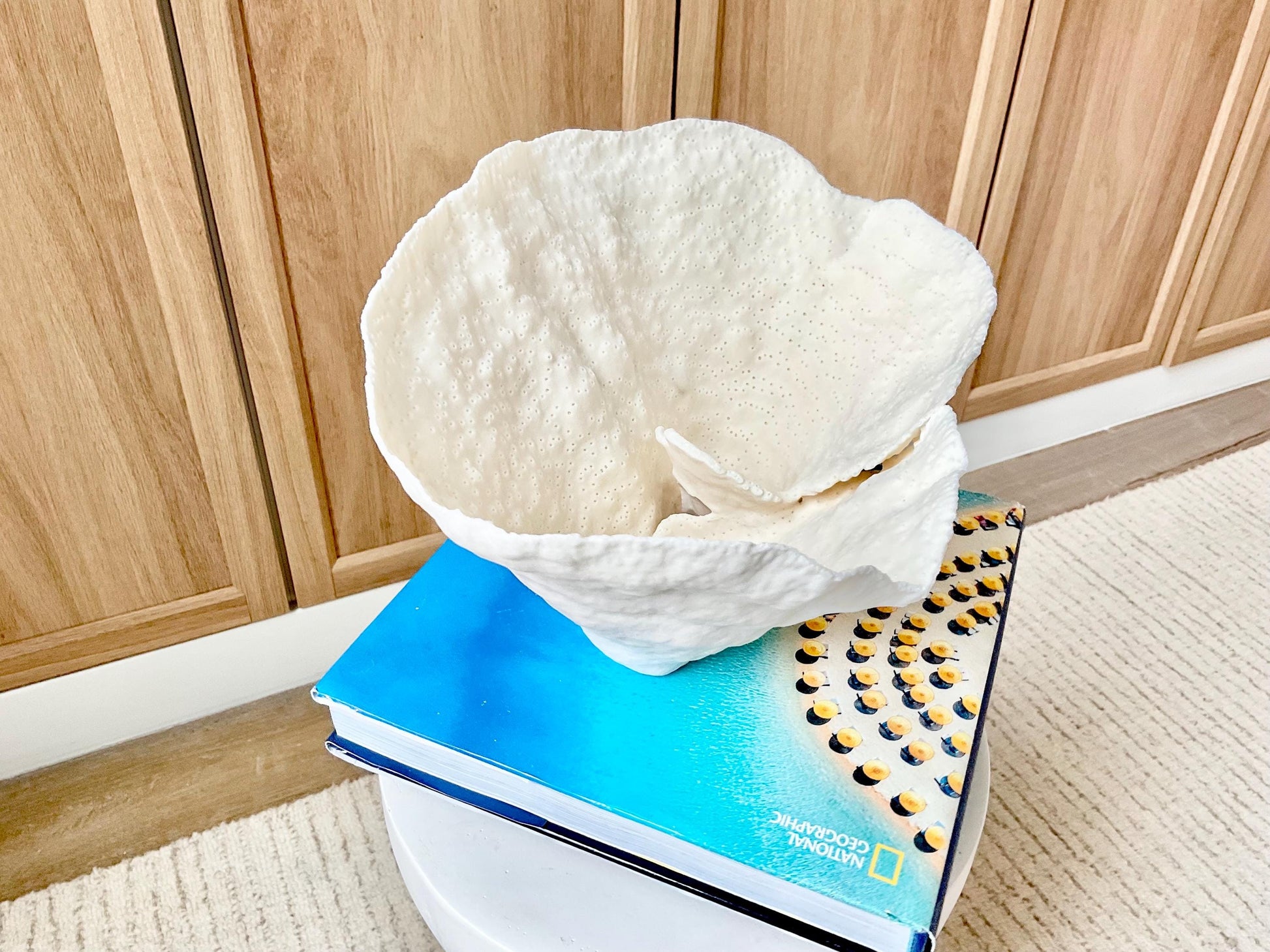 Genuine 9.5" Wide Sea Spiral CUP CORAL 100% Natural Ocean Reef Centerpiece Coastal Beach Ocean Décor Nautical Display Fossil White