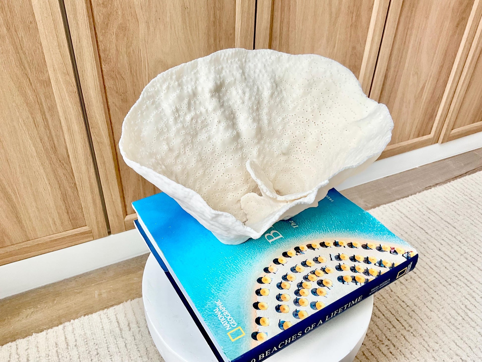 Genuine 9.5" Wide Sea Spiral CUP CORAL 100% Natural Ocean Reef Centerpiece Coastal Beach Ocean Décor Nautical Display Fossil White