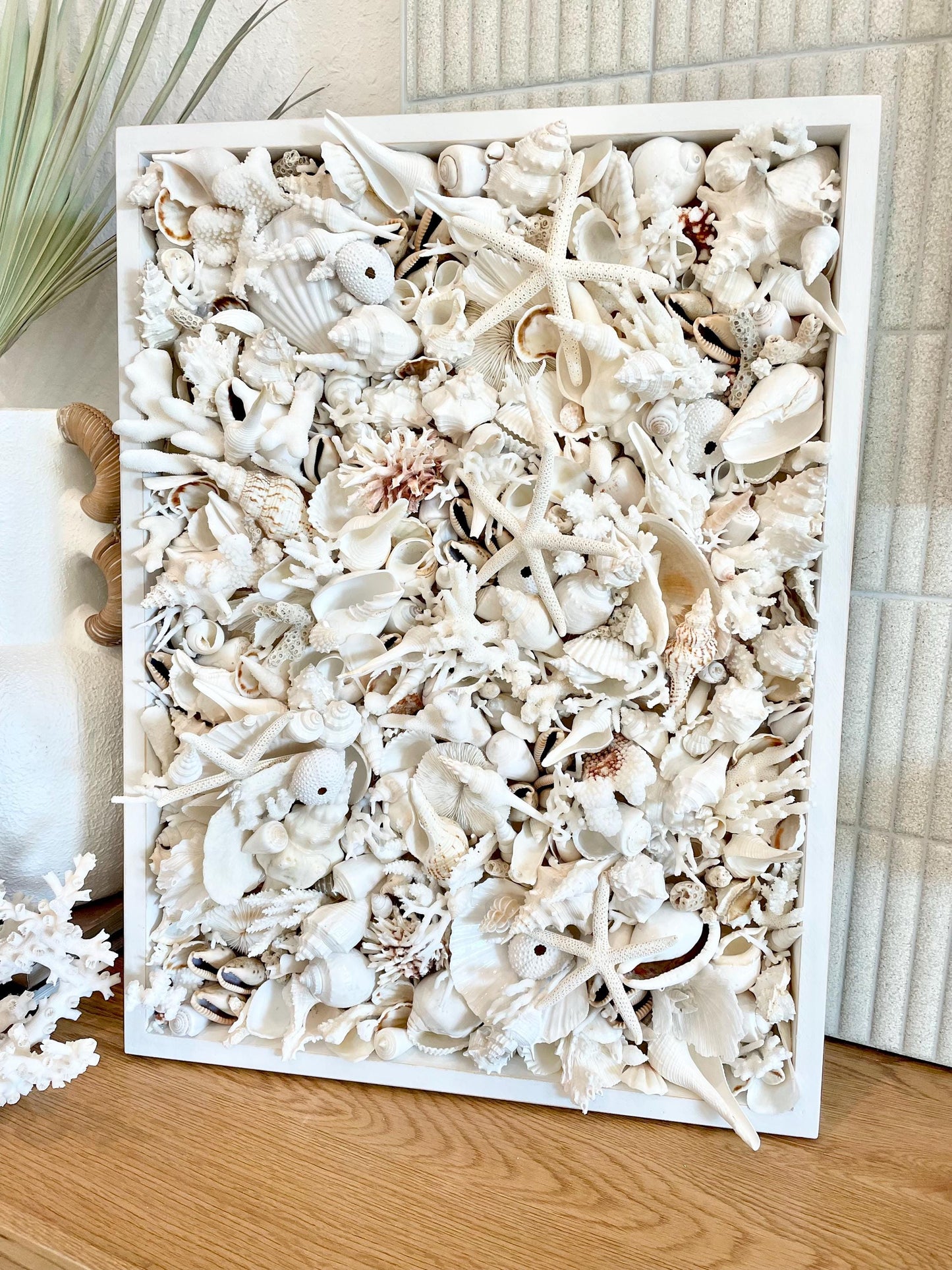 Handmade Seashell Coastal Shell Wall Art Natural Textured Home Décor Urchins Coral Starfish White Beige Brown Seashells You Choose Size