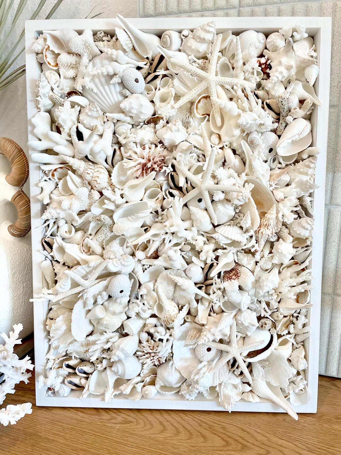 Handmade Seashell Coastal Shell Wall Art Natural Textured Home Décor Urchins Coral Starfish White Beige Brown Seashells You Choose Size