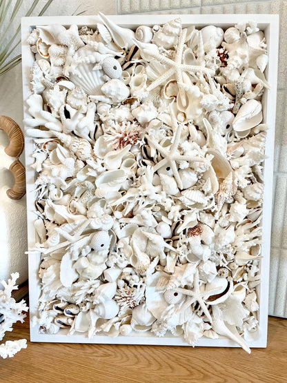 Handmade Seashell Coastal Shell Wall Art Natural Textured Home Décor Urchins Coral Starfish White Beige Brown Seashells You Choose Size