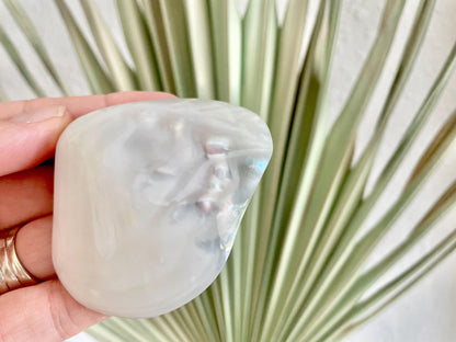 POLISHED CLAM PEARLS Fresh Water Half Shells *All Sizes* Jewelry Making Supply Craft Seashell