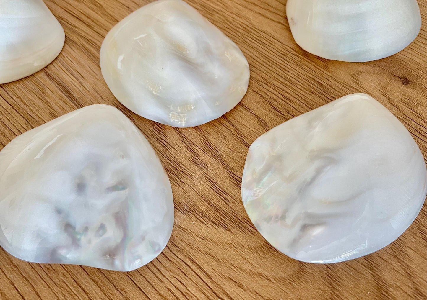 POLISHED CLAM PEARLS Fresh Water Half Shells *All Sizes* Jewelry Making Supply Craft Seashell