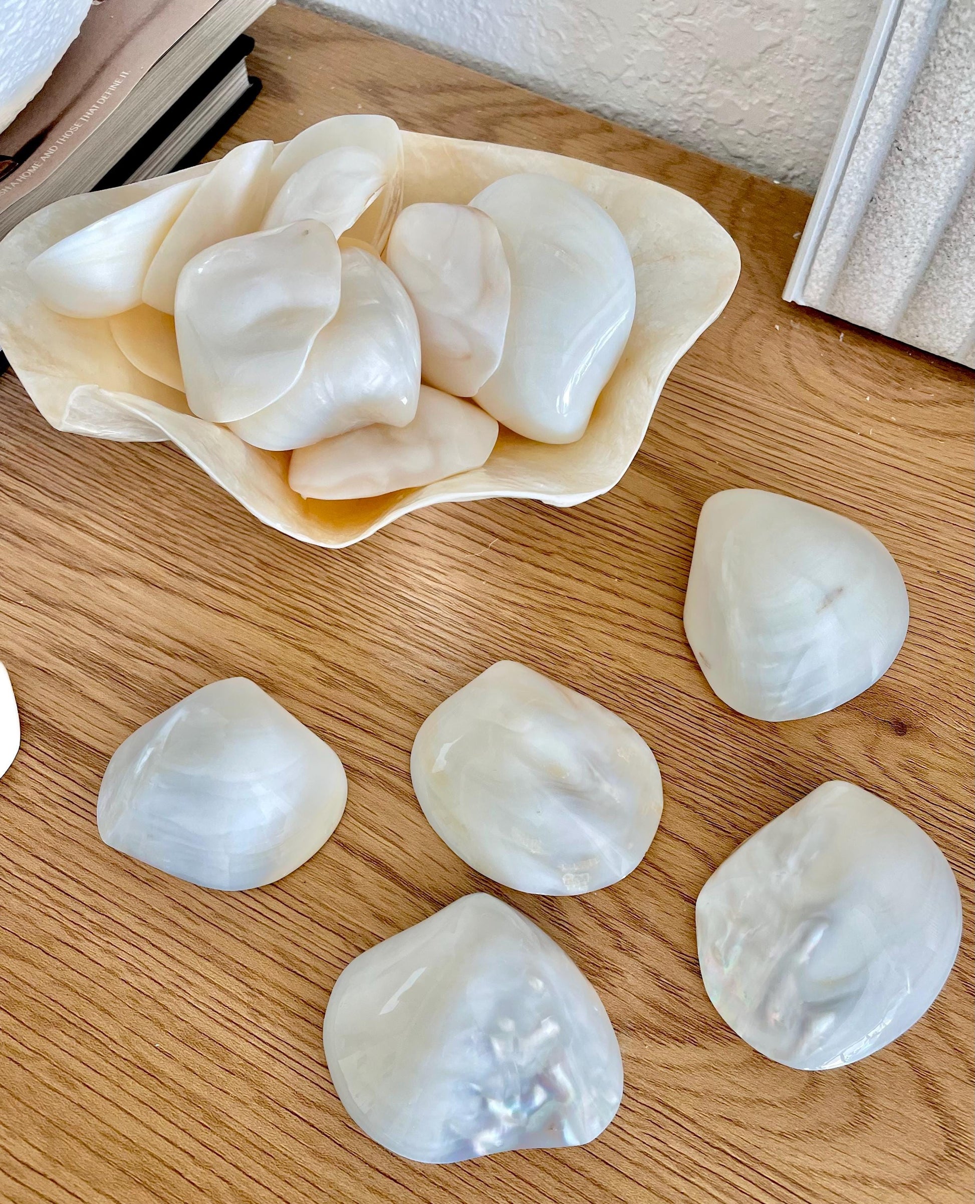 POLISHED CLAM PEARLS Fresh Water Half Shells *All Sizes* Jewelry Making Supply Craft Seashell