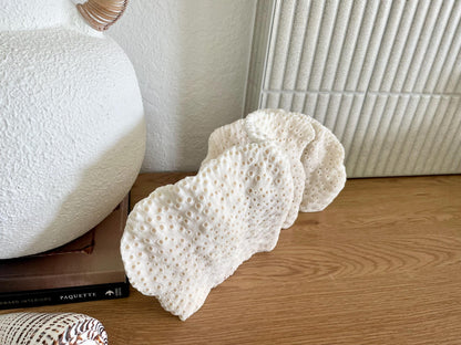 BLACK CUP CORAL Fossil 100% Natural 14.5"x8"x6" Coastal Beach Home Décor Display White