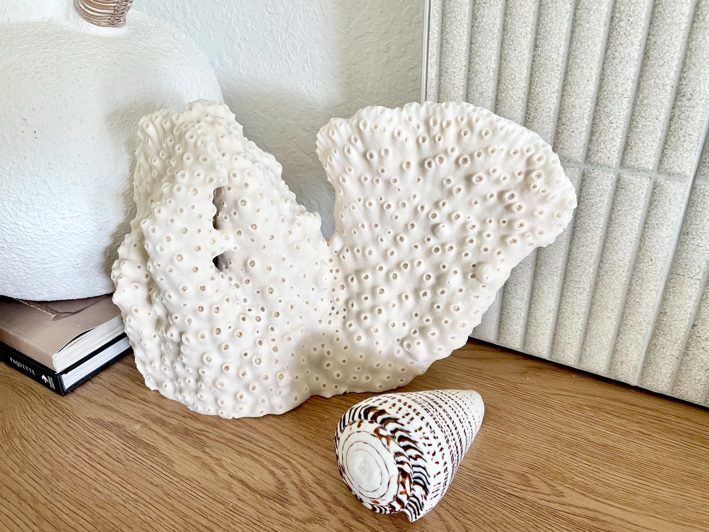 BLACK CUP CORAL Fossil 100% Natural 13"x9"x3.5" Coastal Beach Home Décor Display White