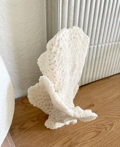 BLACK CUP CORAL Fossil 100% Natural 10"x9"x7" Coastal Beach Home Décor Display White