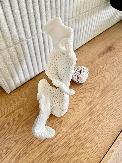 BLACK CUP CORAL Fossil 100% Natural 12"x9.5"x4.5" Coastal Beach Home Décor Display White