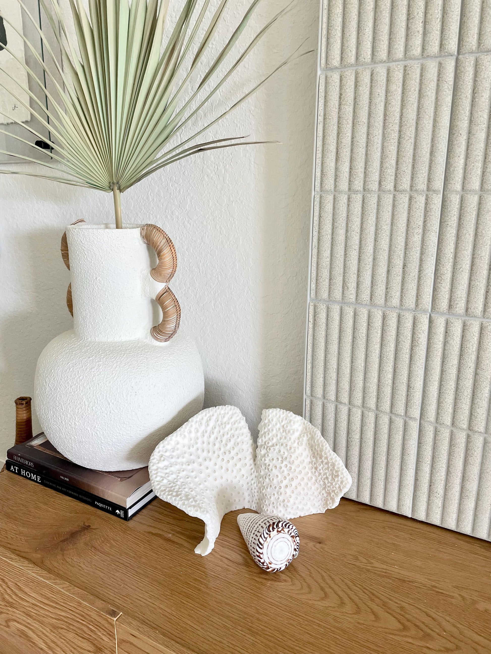 BLACK CUP CORAL Fossil 100% Natural 11"x6"x6" Coastal Beach Home Décor Display White