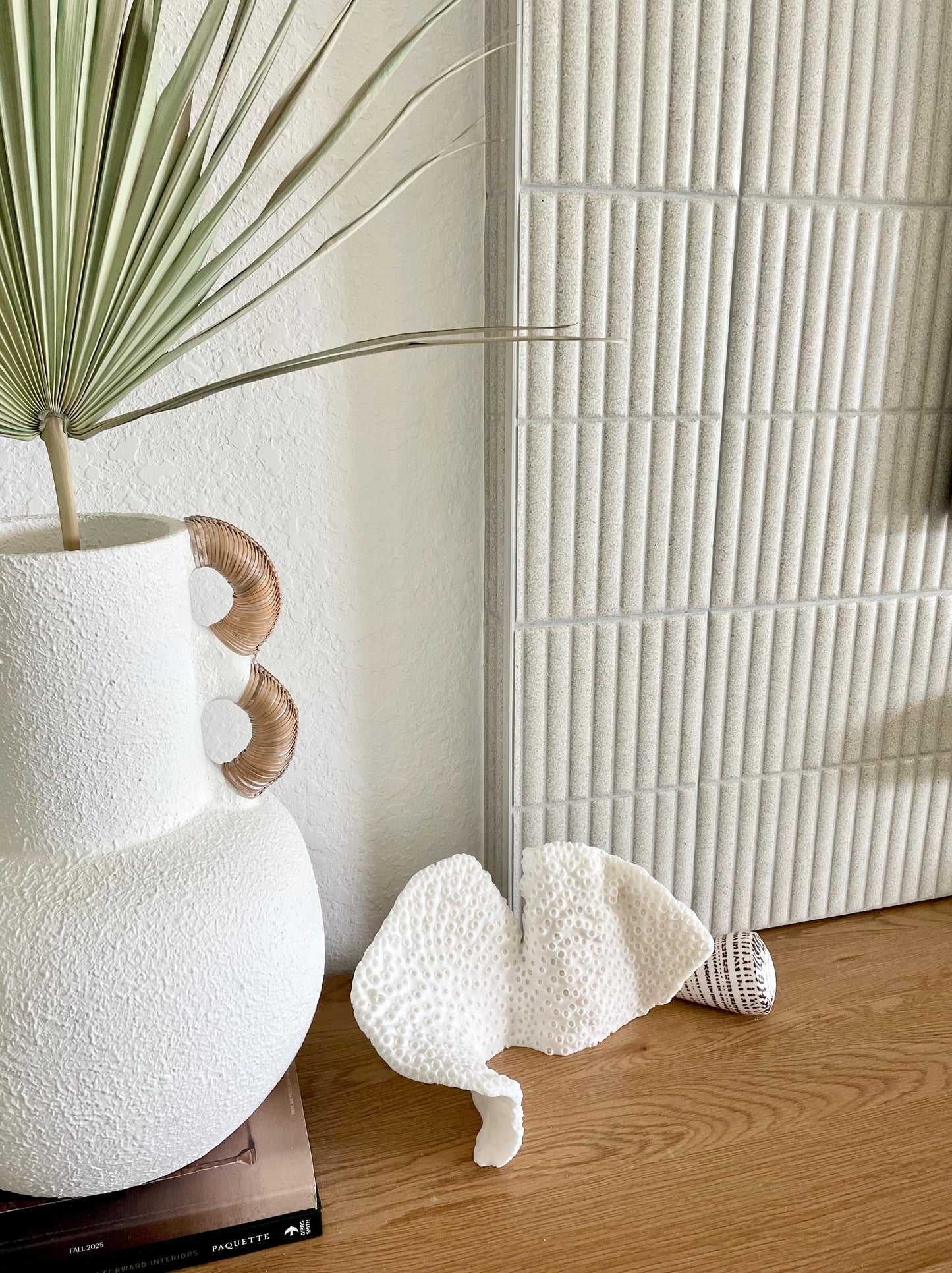 BLACK CUP CORAL Fossil 100% Natural 11"x6"x6" Coastal Beach Home Décor Display White