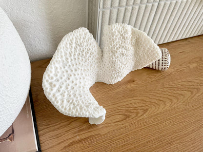 BLACK CUP CORAL Fossil 100% Natural 11"x6"x6" Coastal Beach Home Décor Display White
