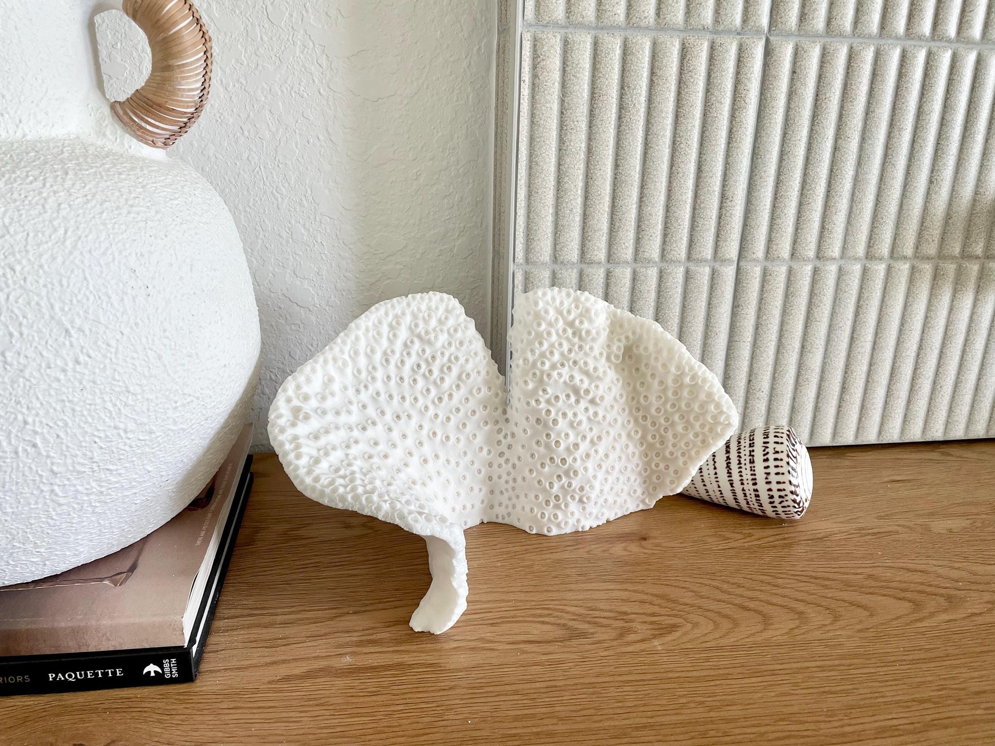 BLACK CUP CORAL Fossil 100% Natural 11"x6"x6" Coastal Beach Home Décor Display White