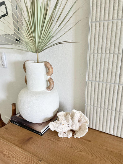 BLACK CUP CORAL Fossil 100% Natural 9.5"x6.5"x5.5" Coastal Beach Home Décor Display White