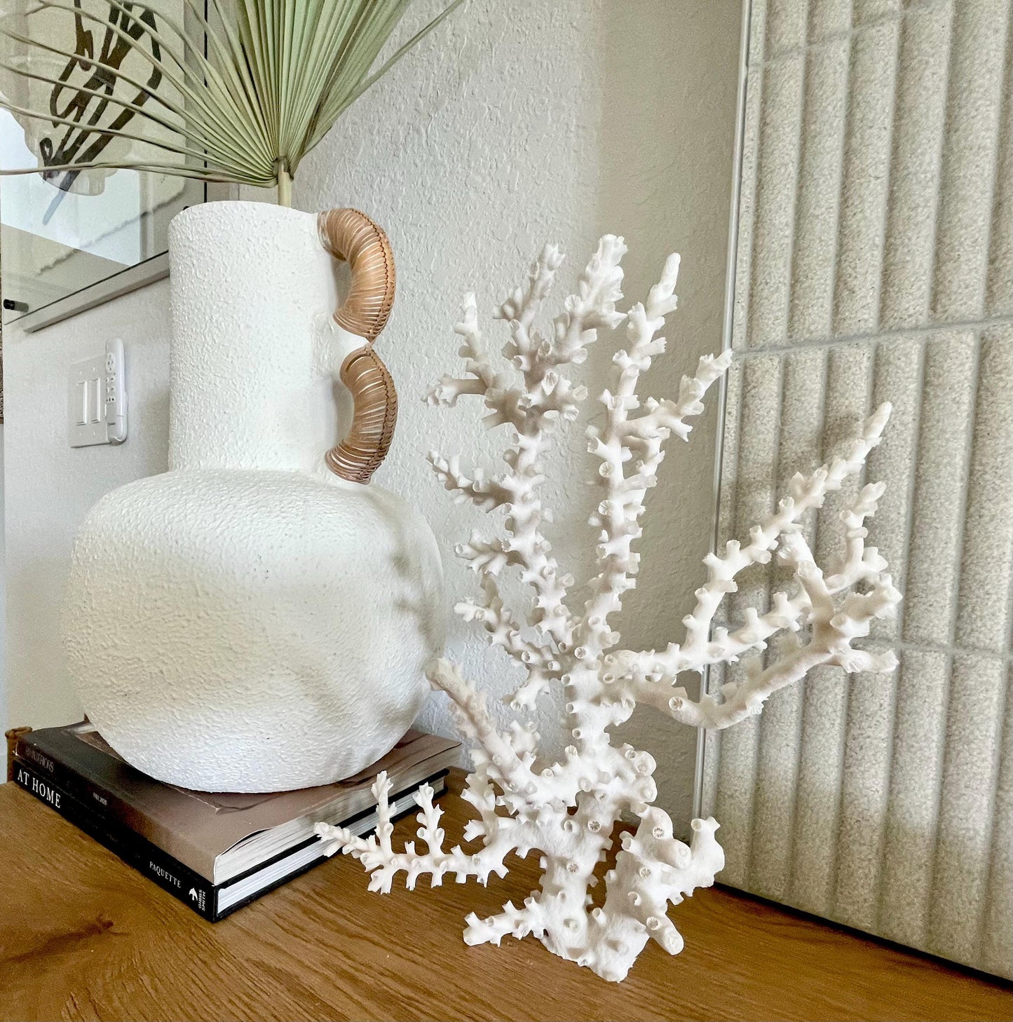 OCTOPUS CORAL Fossil 100% Natural 13"x12.5"x7" Coastal Beach Home Décor Display White