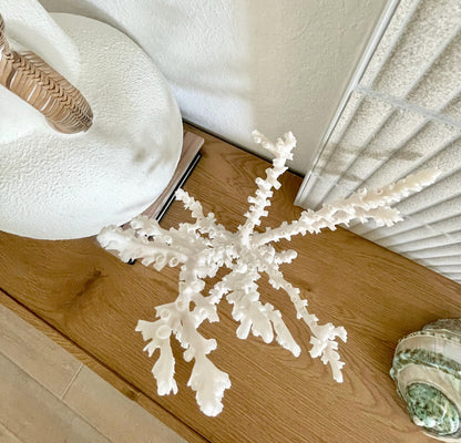 OCTOPUS CORAL Fossil 100% Natural 13"x12.5"x7" Coastal Beach Home Décor Display White