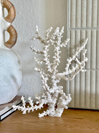 OCTOPUS CORAL Fossil 100% Natural 13"x12.5"x7" Coastal Beach Home Décor Display White