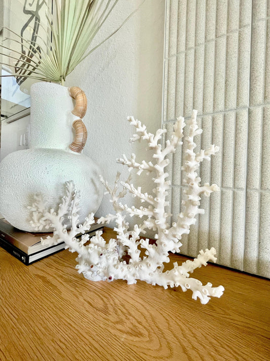 OCTOPUS CORAL Fossil 100% Natural 14"x11"x5.5" Coastal Beach Home Décor Display White