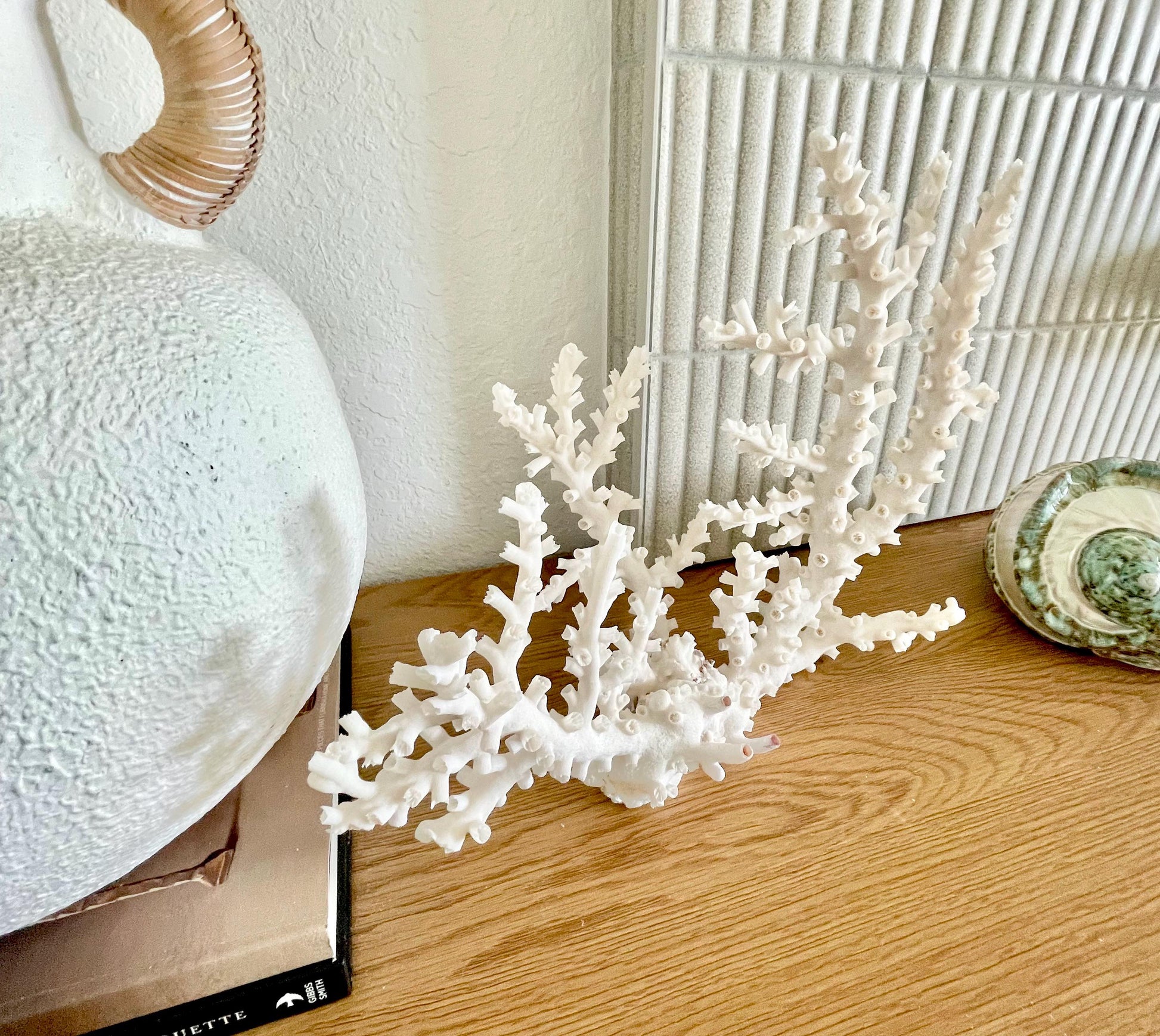 OCTOPUS CORAL Fossil 100% Natural 14"x11"x5.5" Coastal Beach Home Décor Display White