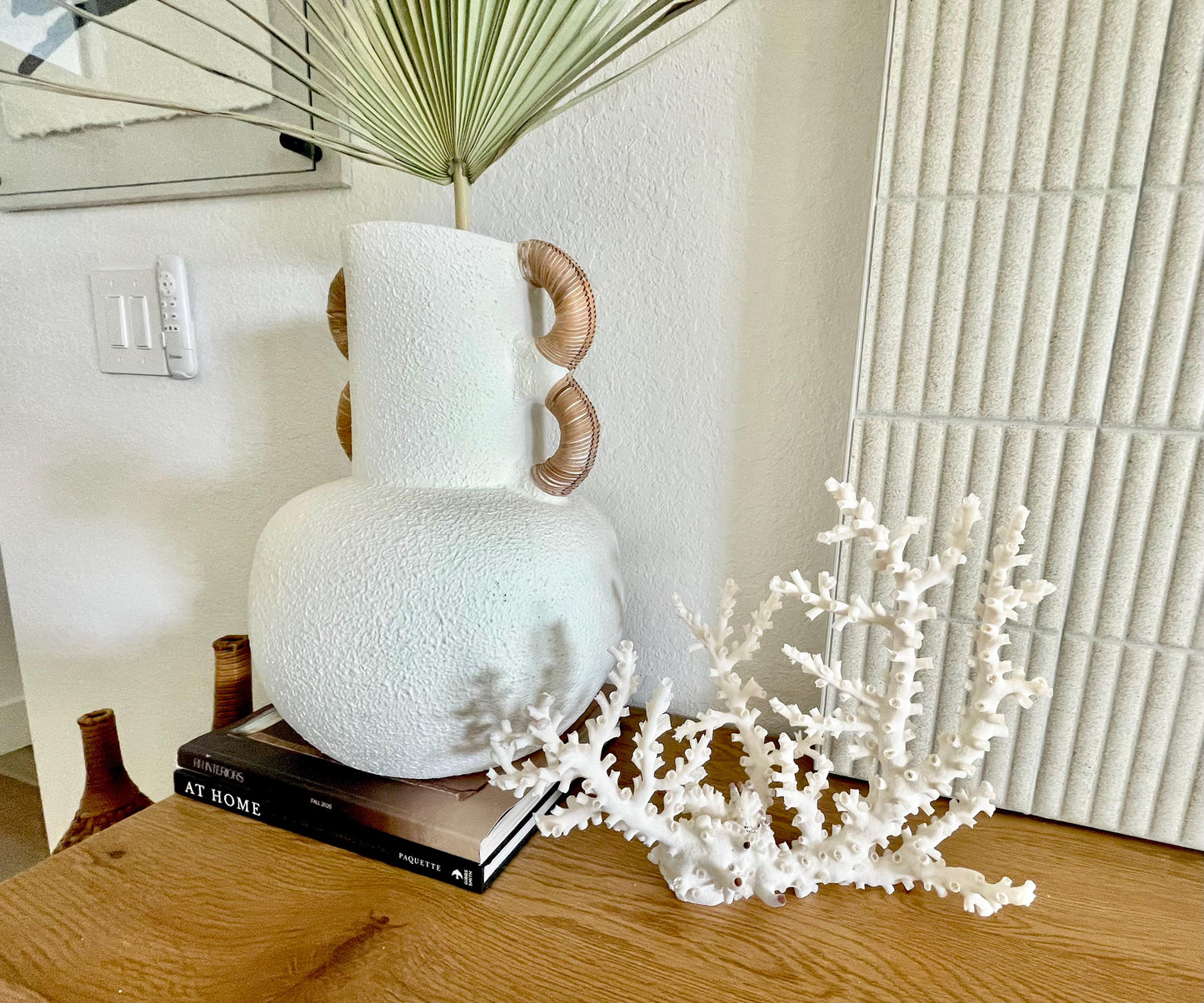 OCTOPUS CORAL Fossil 100% Natural 14"x11"x5.5" Coastal Beach Home Décor Display White