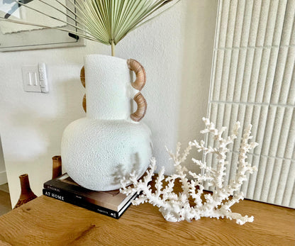 OCTOPUS CORAL Fossil 100% Natural 14"x11"x5.5" Coastal Beach Home Décor Display White