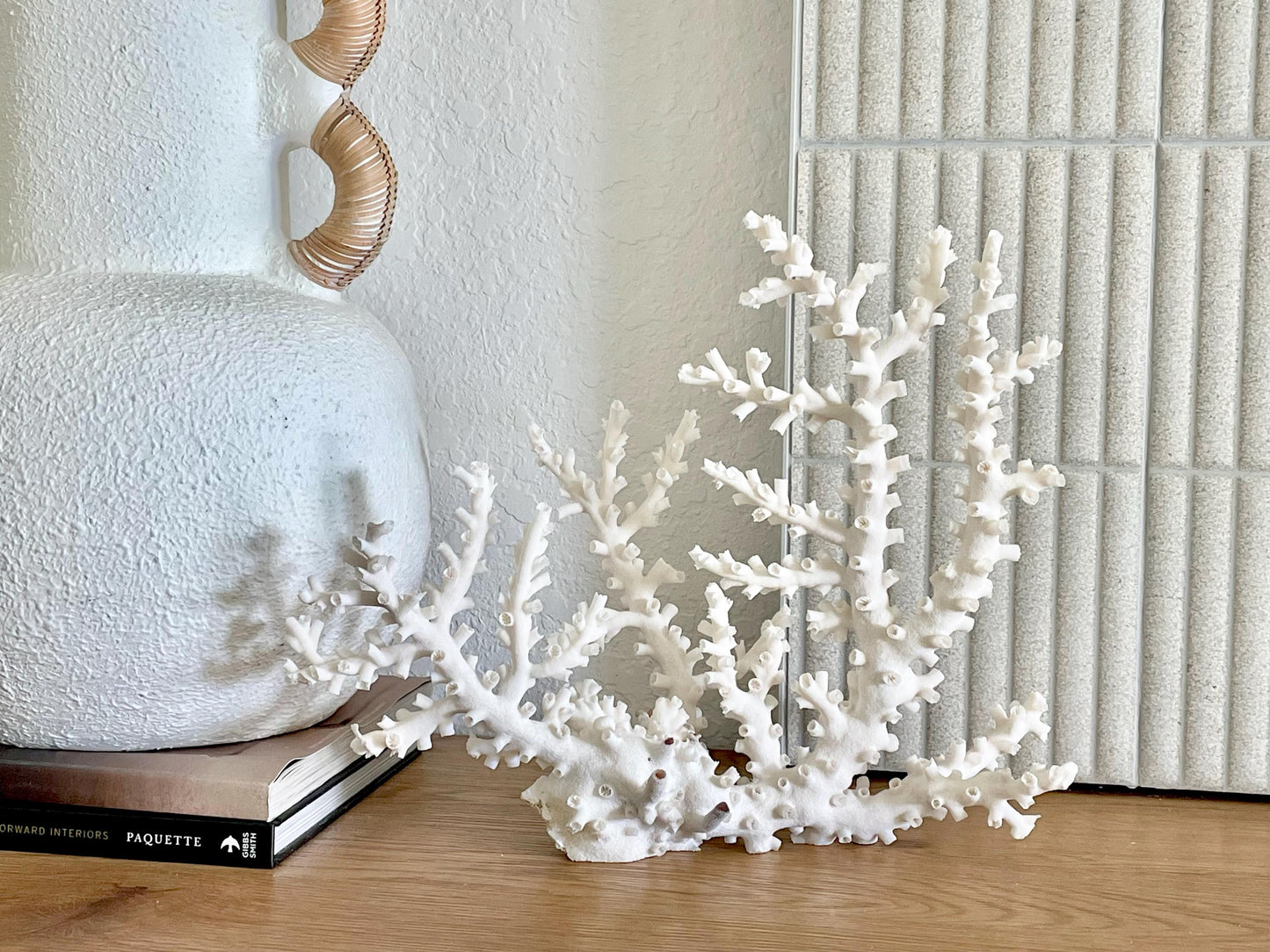 OCTOPUS CORAL Fossil 100% Natural 14"x11"x5.5" Coastal Beach Home Décor Display White