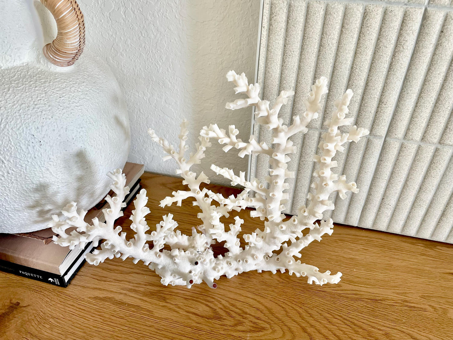 OCTOPUS CORAL Fossil 100% Natural 14"x11"x5.5" Coastal Beach Home Décor Display White