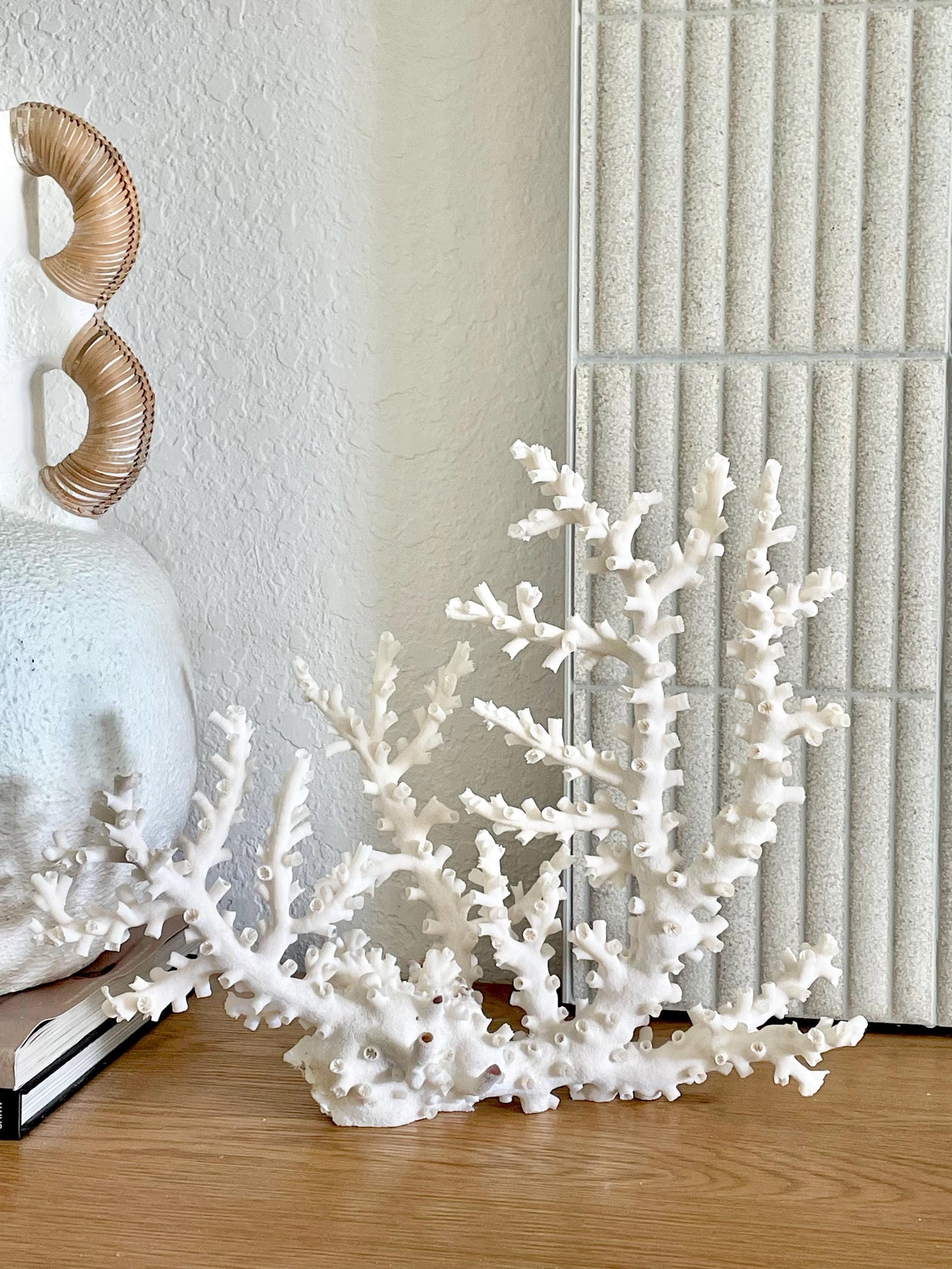 OCTOPUS CORAL Fossil 100% Natural 14"x11"x5.5" Coastal Beach Home Décor Display White