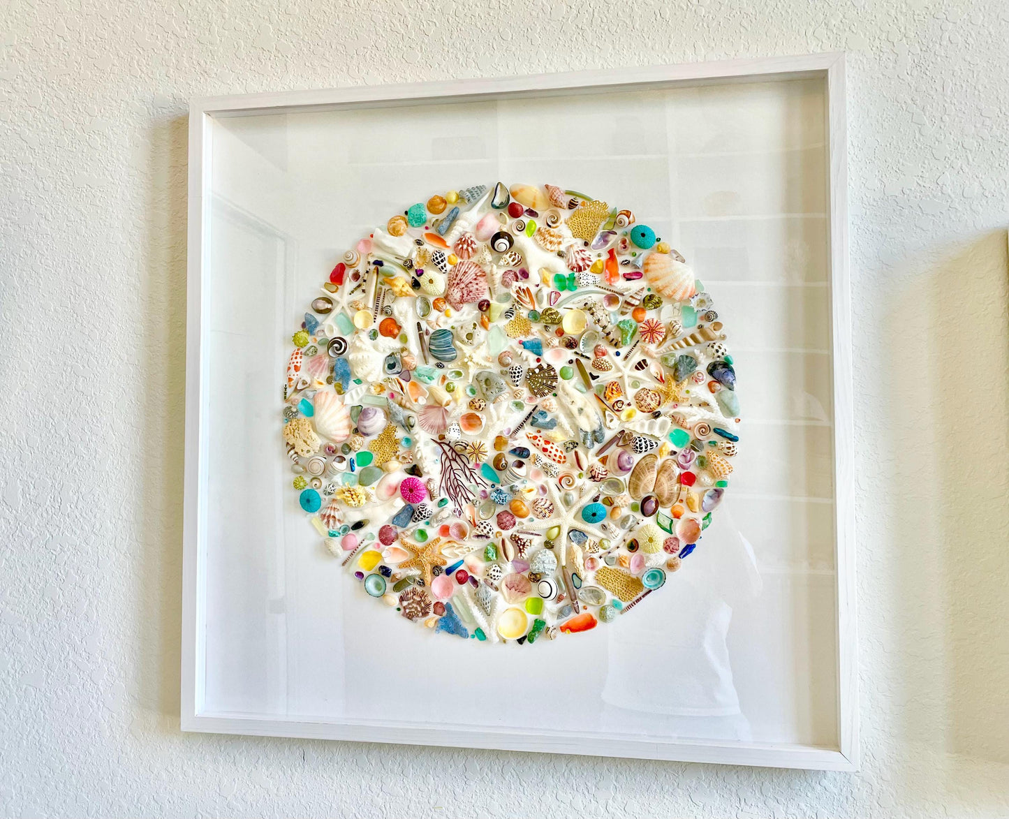 Modern Colorful Framed Shadowbox Coastal Shell Wall Art 31" Square Natural Beach House Décor