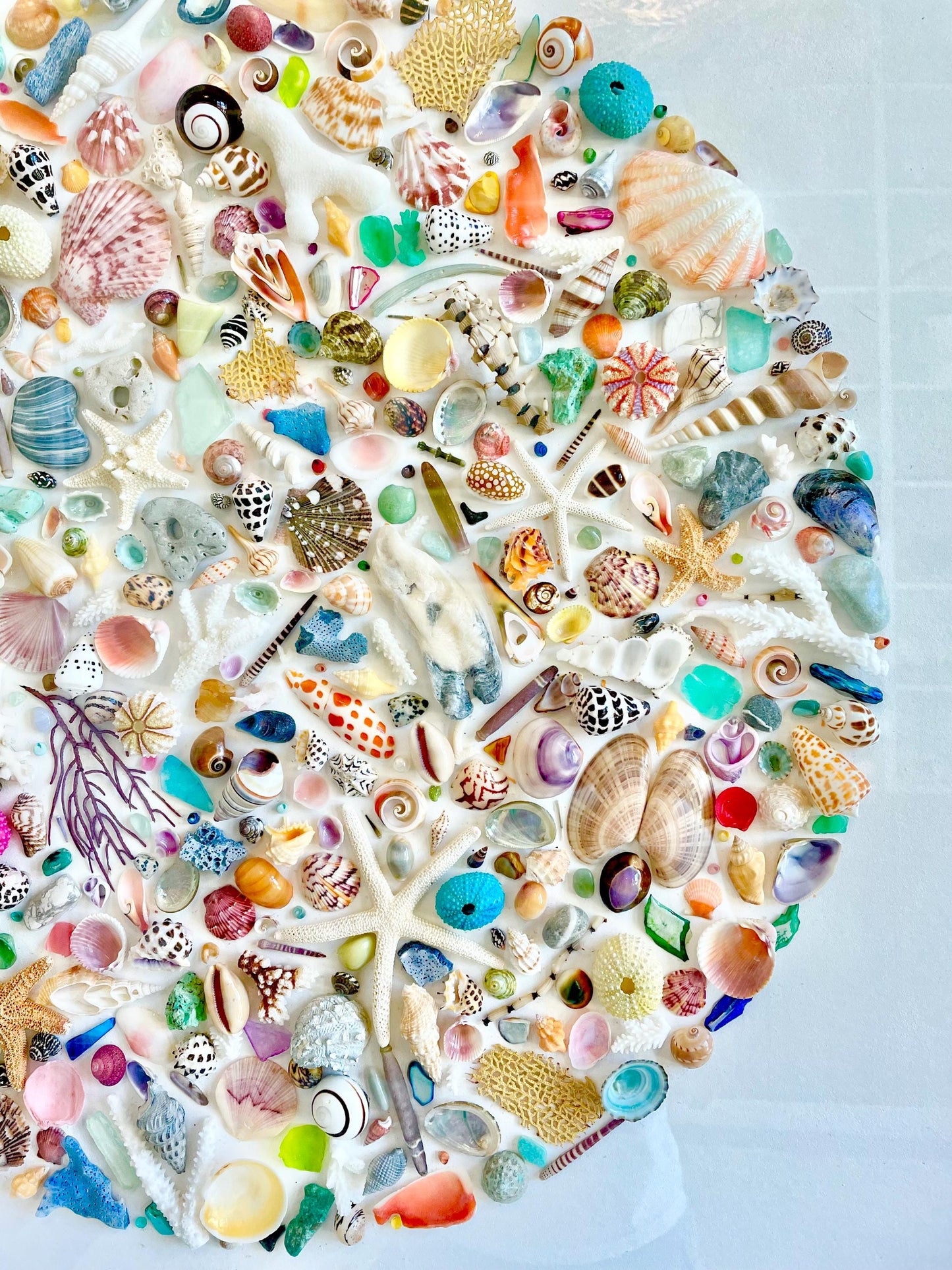 Modern Colorful Framed Shadowbox Coastal Shell Wall Art 31" Square Natural Beach House Décor