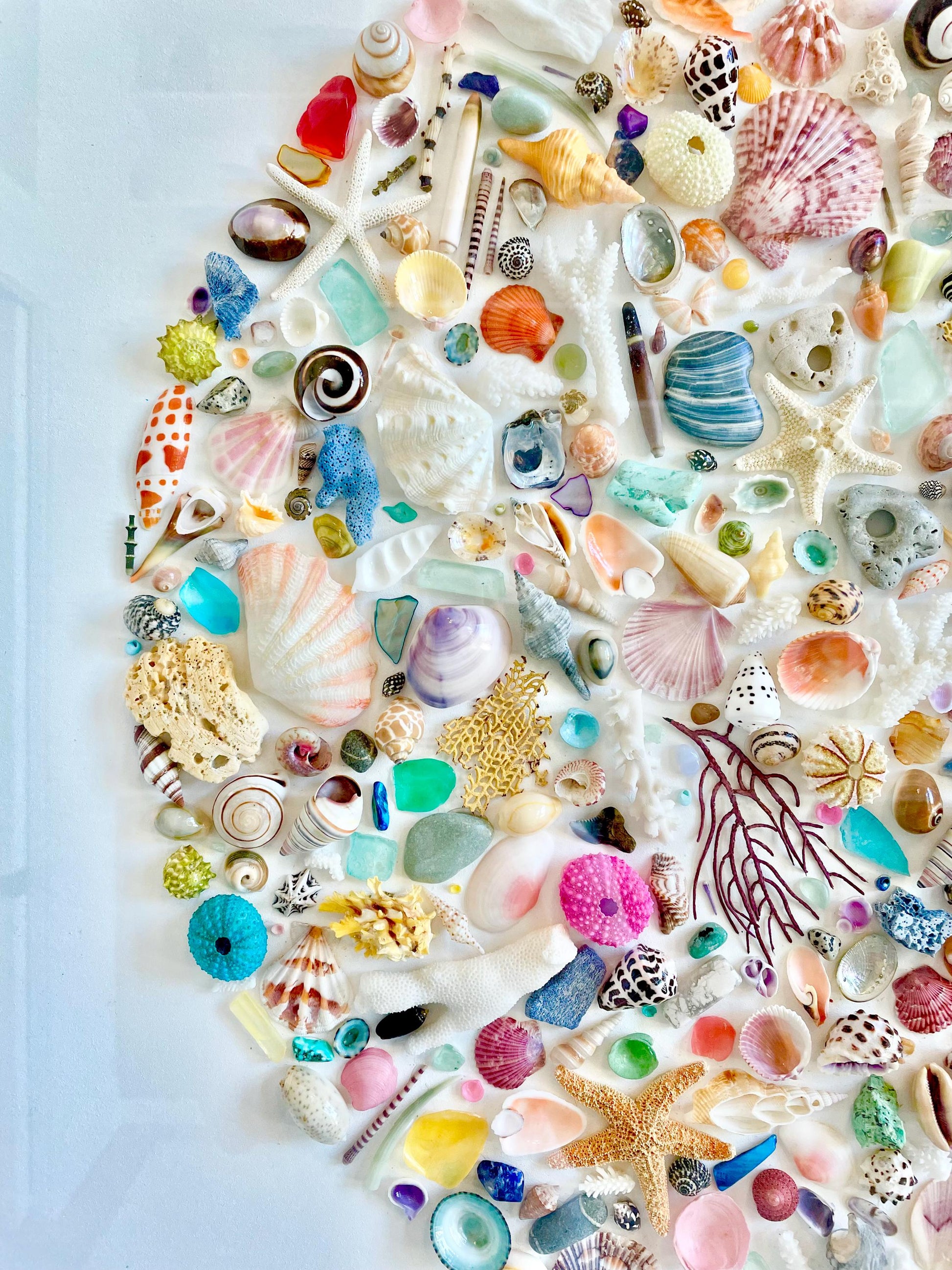 Modern Colorful Framed Shadowbox Coastal Shell Wall Art 31" Square Natural Beach House Décor