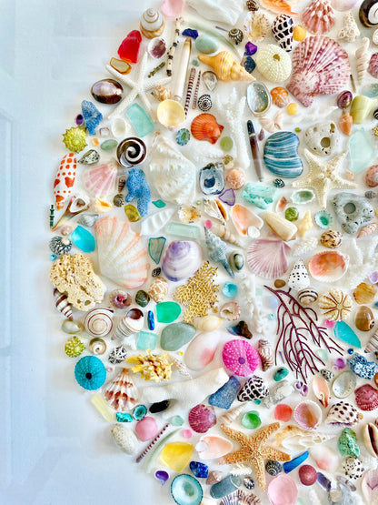 Modern Colorful Framed Shadowbox Coastal Shell Wall Art 31" Square Natural Beach House Décor