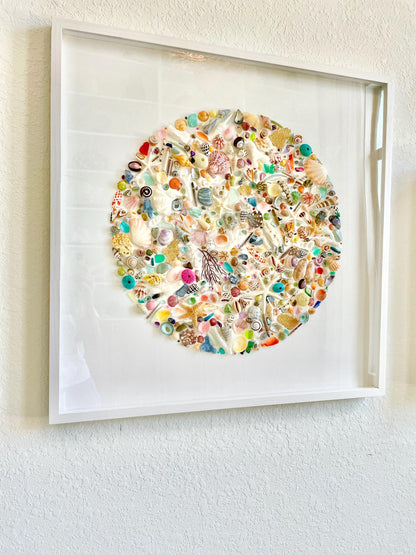 Modern Colorful Framed Shadowbox Coastal Shell Wall Art 31" Square Natural Beach House Décor