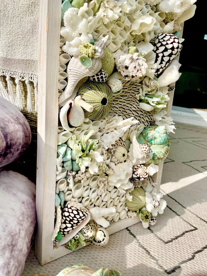 Seashell Modern Coastal Wall Art Natural Textured Sea shells Urchins Coral 32" x 12" Beach House Décor White Black Green