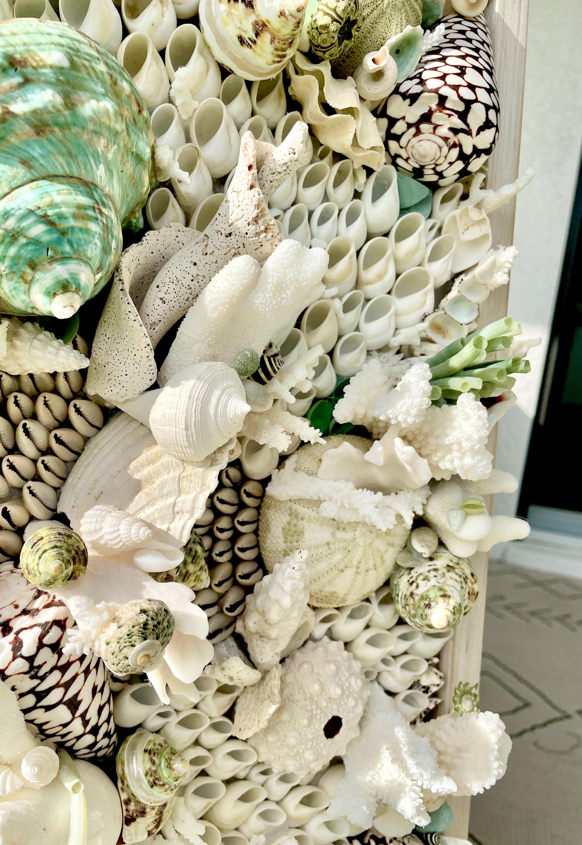 Seashell Modern Coastal Wall Art Natural Textured Sea shells Urchins Coral 32" x 12" Beach House Décor White Black Green