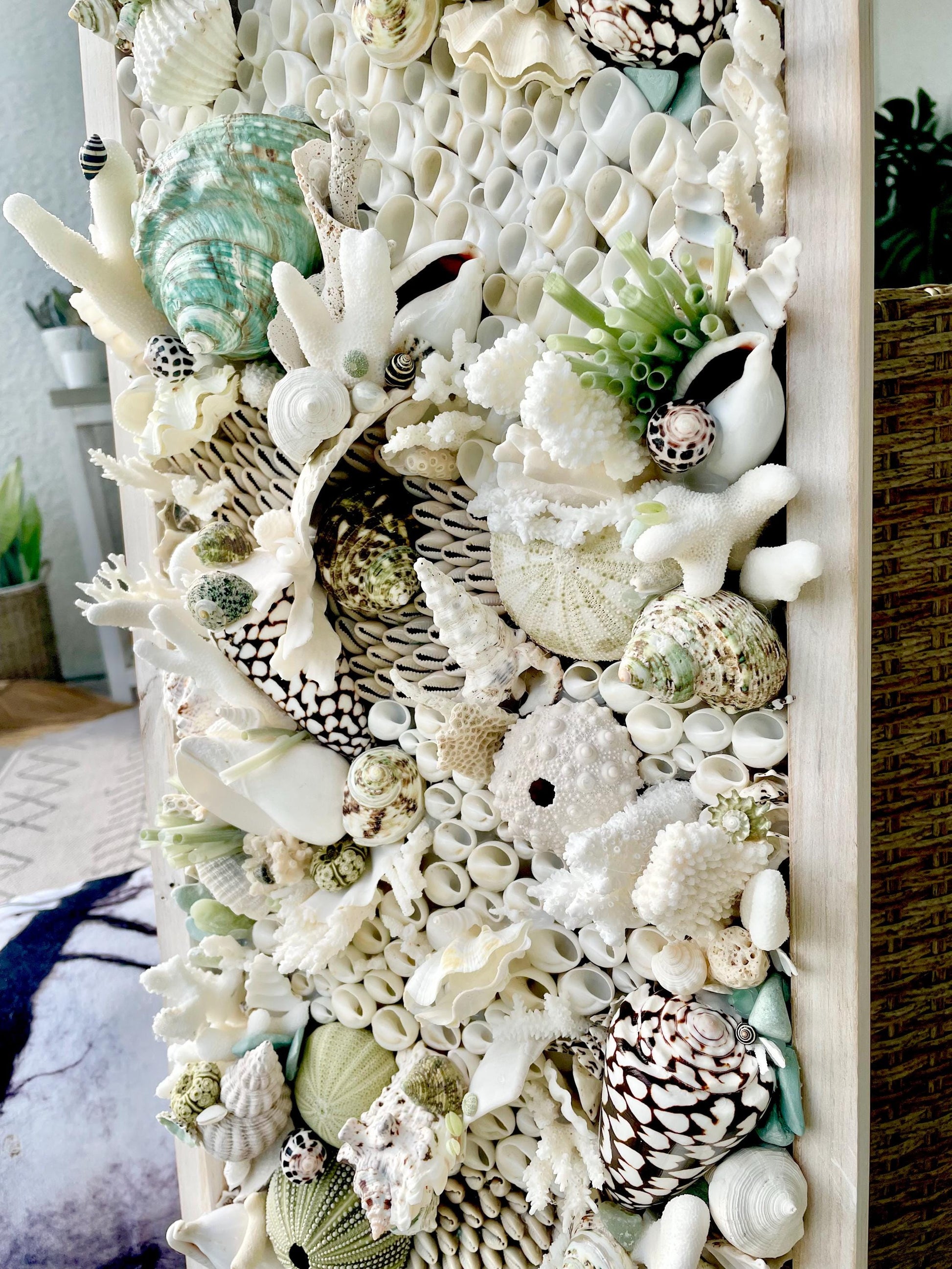 Seashell Modern Coastal Wall Art Natural Textured Sea shells Urchins Coral 32" x 12" Beach House Décor White Black Green