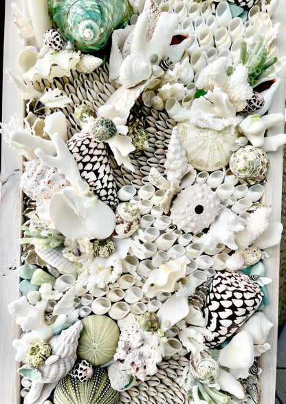 Seashell Modern Coastal Wall Art Natural Textured Sea shells Urchins Coral 32" x 12" Beach House Décor White Black Green