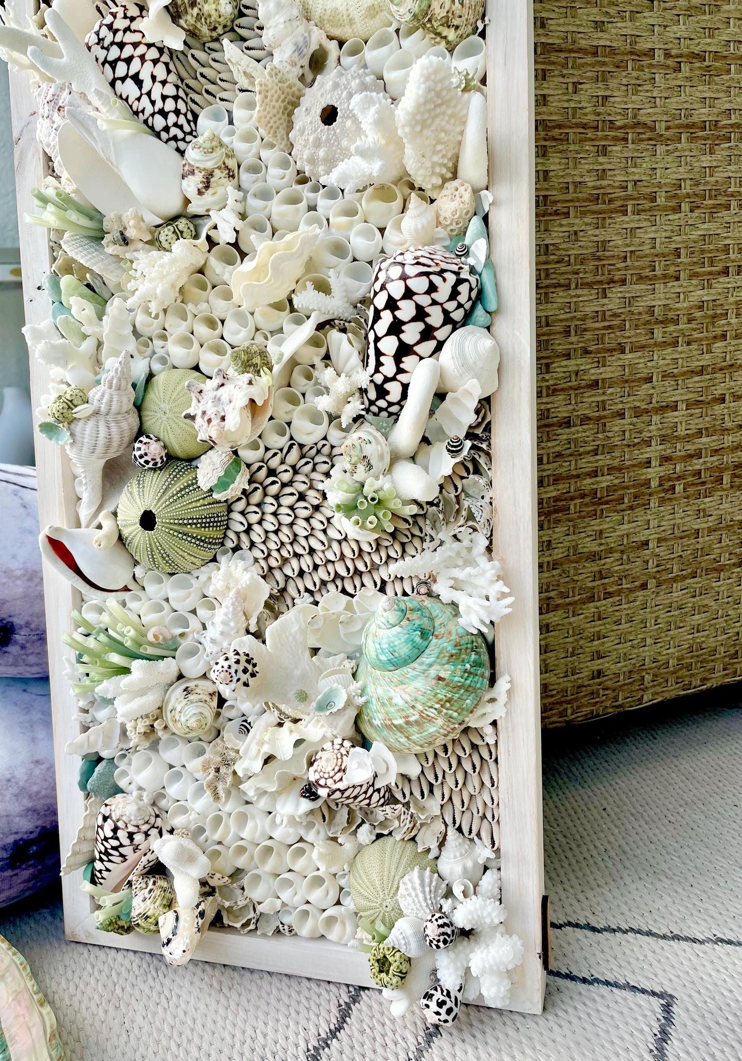 Seashell Modern Coastal Wall Art Natural Textured Sea shells Urchins Coral 32" x 12" Beach House Décor White Black Green