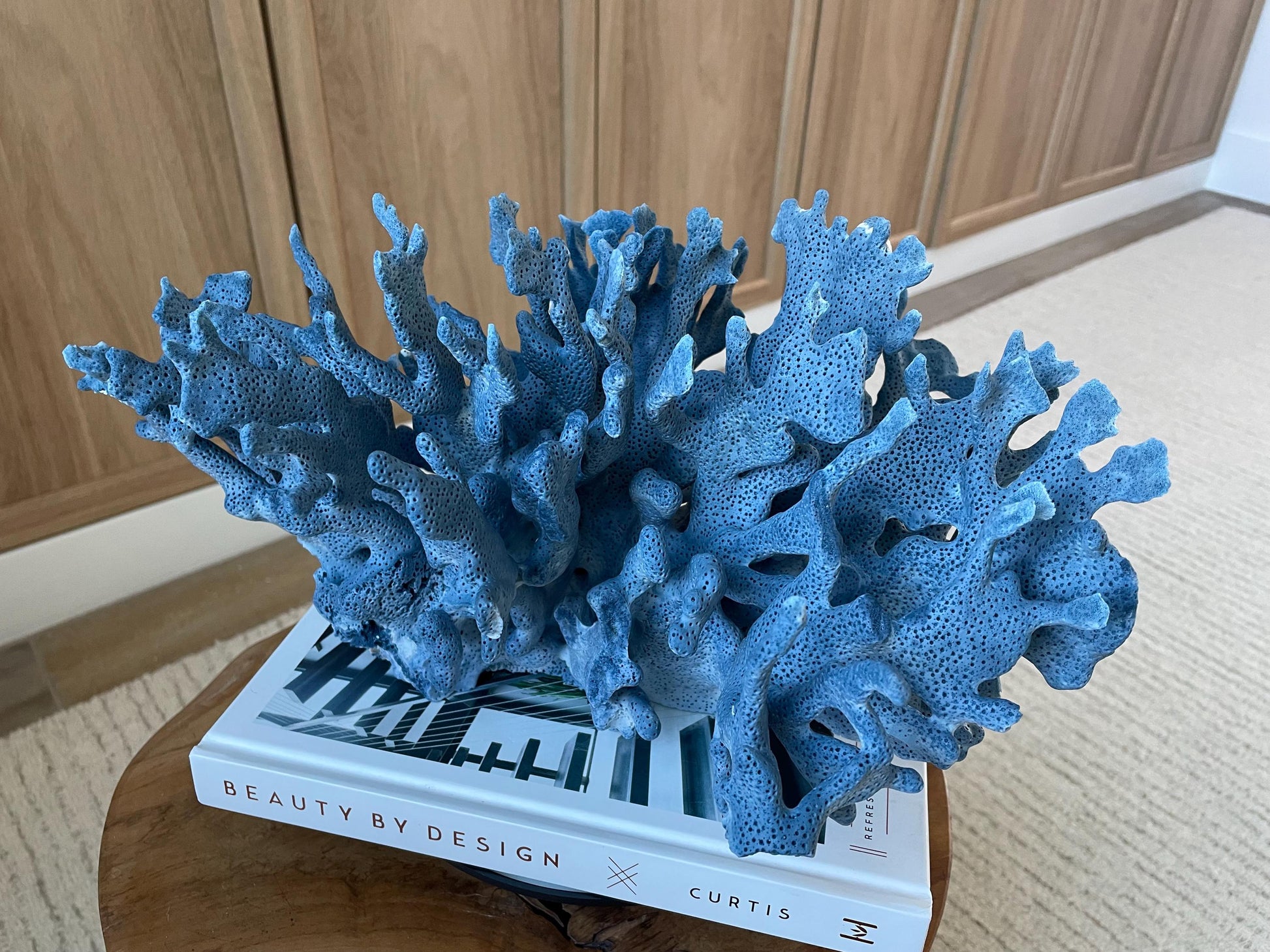 Genuine 100% Natural Blue Ridge Coral 15" Long Fossil Specimen Coastal Ocean Reef Display Nautical Beach House Décor