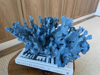 Genuine 100% Natural Blue Ridge Coral 15" Long Fossil Specimen Coastal Ocean Reef Display Nautical Beach House Décor