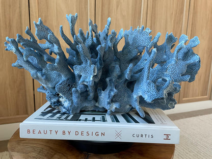 Genuine 100% Natural Blue Ridge Coral 15" Long Fossil Specimen Coastal Ocean Reef Display Nautical Beach House Décor