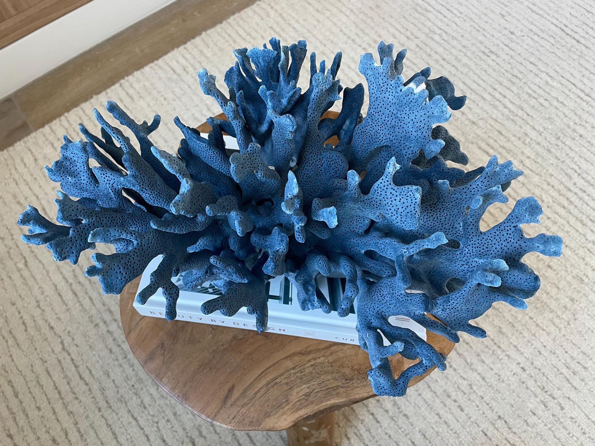 Genuine 100% Natural Blue Ridge Coral 15" Long Fossil Specimen Coastal Ocean Reef Display Nautical Beach House Décor