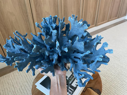 Genuine 100% Natural Blue Ridge Coral 15" Long Fossil Specimen Coastal Ocean Reef Display Nautical Beach House Décor